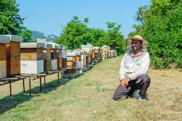 Apicultor en colmenar — Foto de Stock