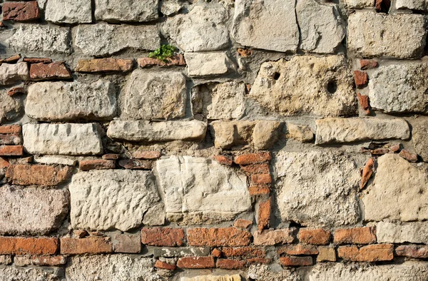 Pietra parete di roccia — Foto Stock