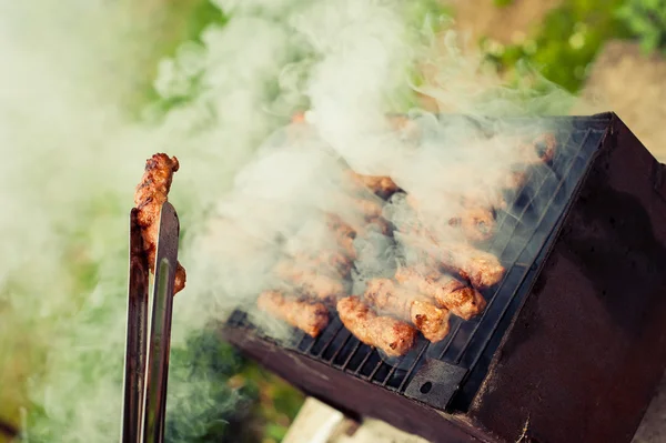 De partij van de barbecue — Stockfoto