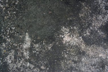 Kurumuş yosunlu eski duvar arkaplanı