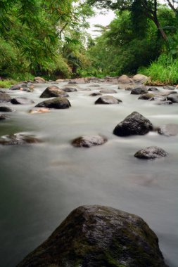 Güzel bir nehrin ortasındaki büyük bir kayanın tepesinde yakalanır.