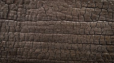 Çatlaklı siyah kalas, yakacak odun.