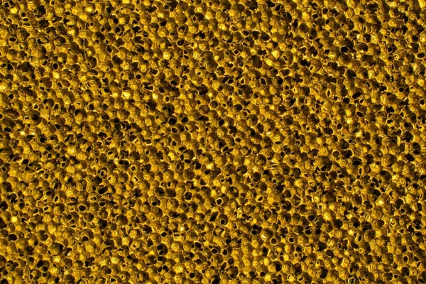 Delikli Altın Metalik Zemin Bal Peteği Makro — Stok fotoğraf