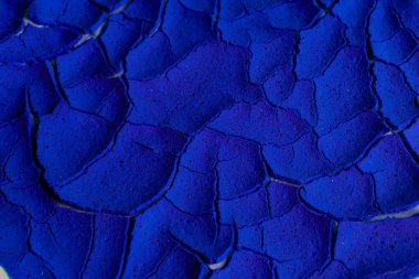 Mavi çatlak kabuk. kuru göl altı