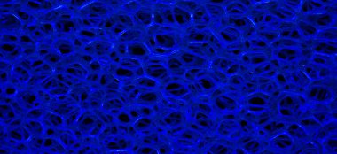 Mavi sünger. 3B yapı, arkaplan, doku.