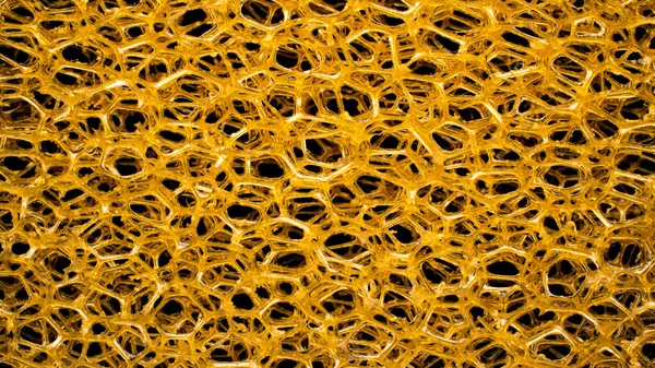 Sarı sünger. 3B yapı, arkaplan, doku.