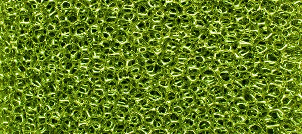 Zöld Szivacs Struktúra Háttér Textúra — Stock Fotó