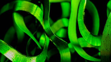 duvar kağıdı ya da doku için yeşil çelik talaşı makro atış