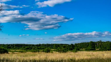 Güneşli bir yaz gününde, bahçede tehditkar mavi gökyüzü