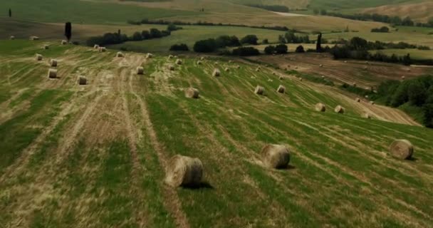 Flygdrönare Utsikt Underbar Dal Orcia Toscana Drone Toscana Italien — Stockvideo