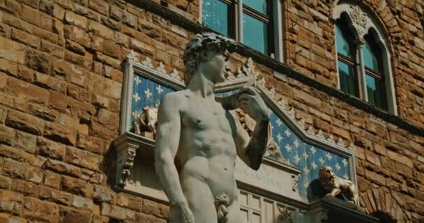 Foto Gimbal Della Statua Del David Michelangelo Piazza Della Signoria — Video Stock