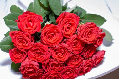 Beyaz arka planda vazoda güzel kırmızı güller