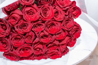 Beyaz arka planda vazoda kırmızı güller