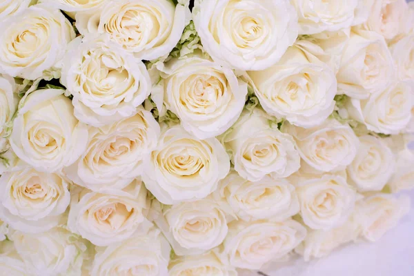 Gyönyörű Rózsa Csokor Fehér Vázában — Stock Fotó