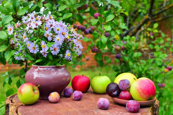 Bloemen uit de tuin en vruchten — Stockfoto