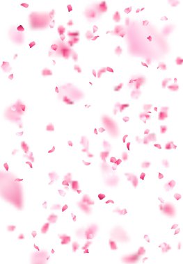 Pembe sakura yaprakları arka plan. 