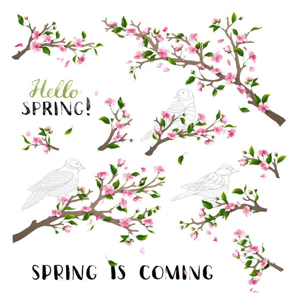 Ensemble vectoriel de blancs de printemps isolés sur fond blanc . — Image vectorielle