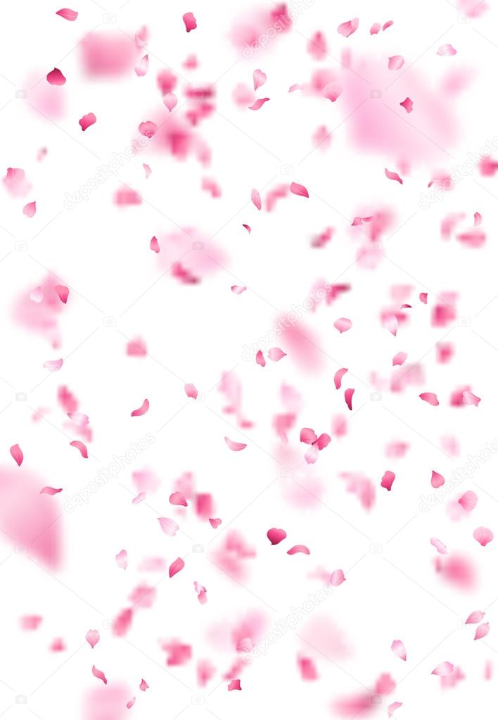 Falling pink sakura petals realistic illustration on transparent