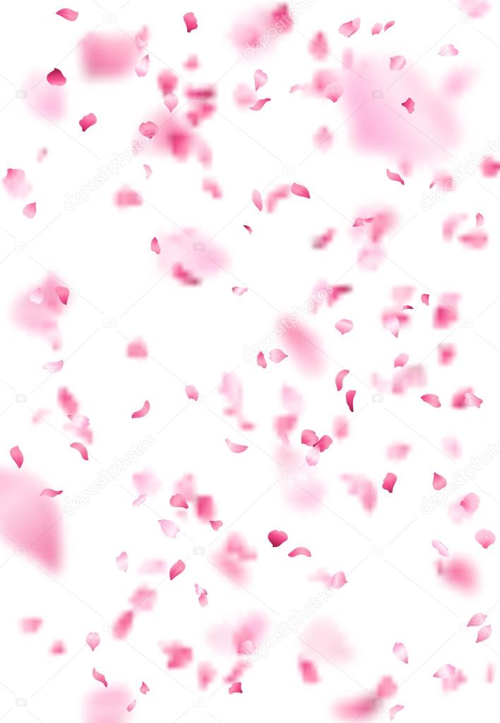 Pink sakura petals background. 