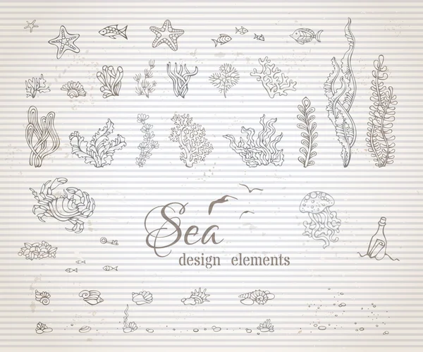 Set vintage sea life design — Stock vektor