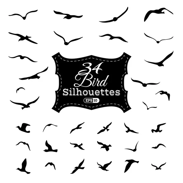 Ensemble vectoriel de silhouettes d'oiseaux . — Image vectorielle