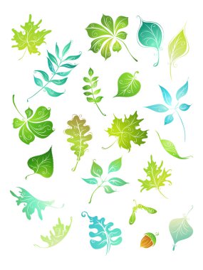 vektör yeşil yaprakları. 