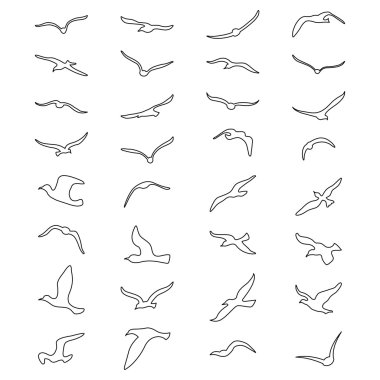 Vector set of linear seagull outlines.  clipart