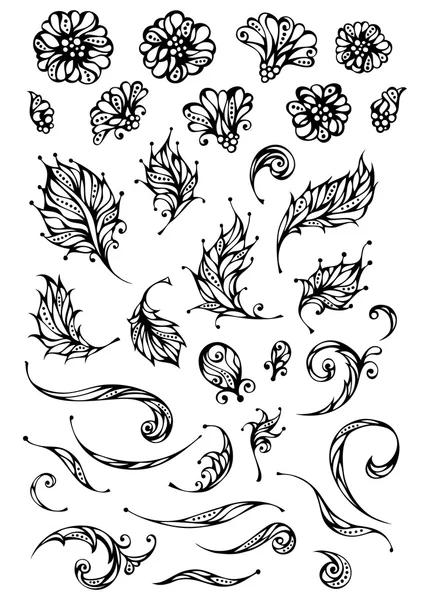 Vector set of floral elements. — Stock Vector