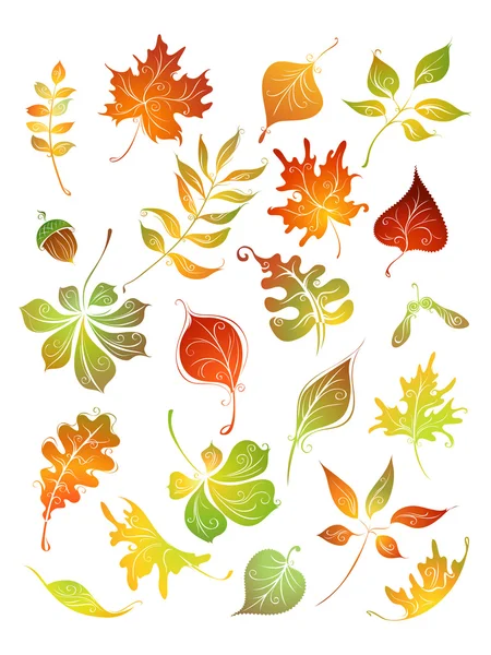 Vector set Herfstbladeren. — Stockvector