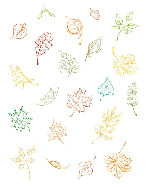 Ensemble vectoriel de feuilles d'automne . — Image vectorielle