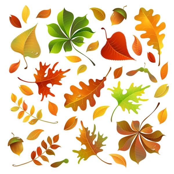 Осенние листья фона — стоковый вектор