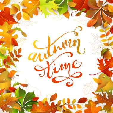 Bright colourful autumn leaves
