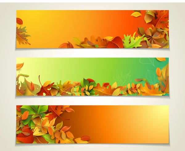 Conjunto vectorial de banners de otoño horizontales brillantes . — Vector de stock