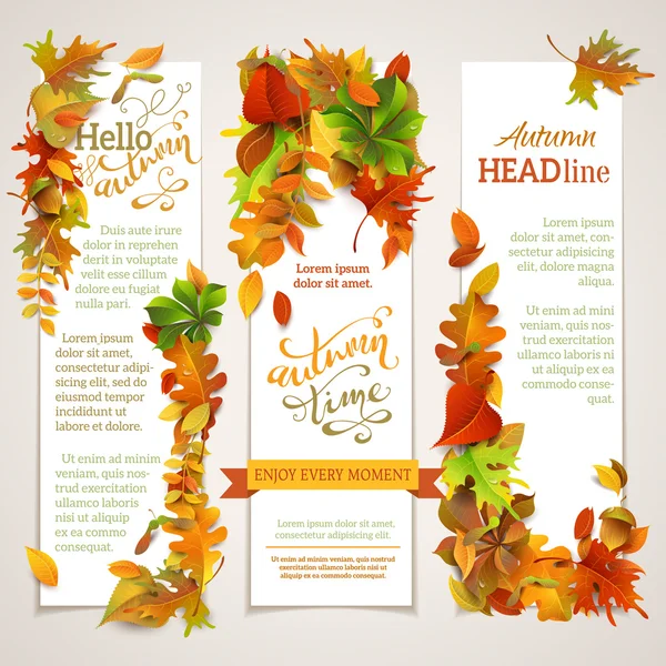 Vector set of vertical autumn banners. — 스톡 벡터