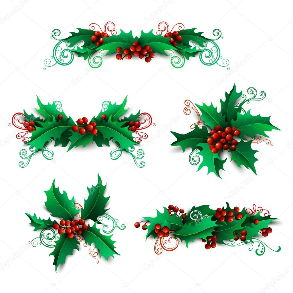 Vector set of holly berries