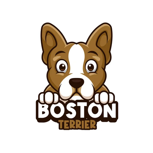 Evcil hayvan dükkanı logosu, hayvan bakımı ya da Boston Terrier 'lı kendi köpeğin.