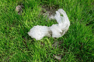 Çayıra atılmış plastik torbalar..