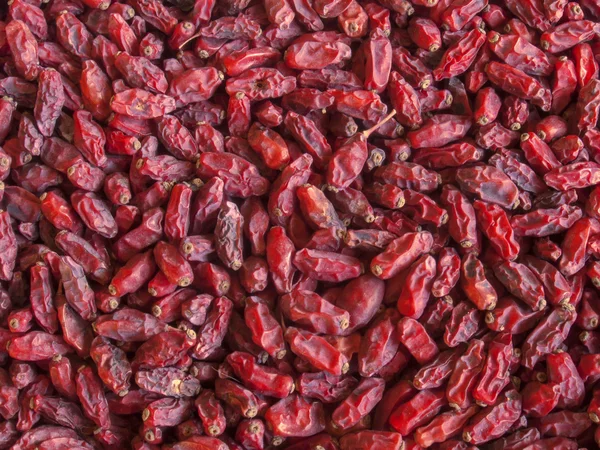 Kırmızı baharatlı barberries arka plan — Stok fotoğraf