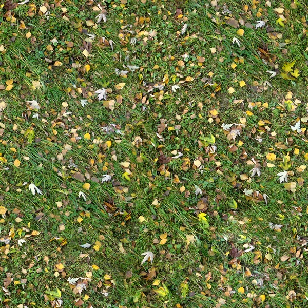 Textuur van het gras met najaar bladeren — Stockfoto