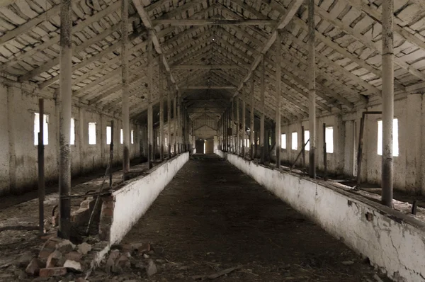 Terk edilmiş ahır içi