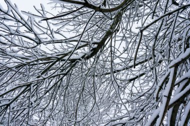 Muhteşem kış gökyüzünde
