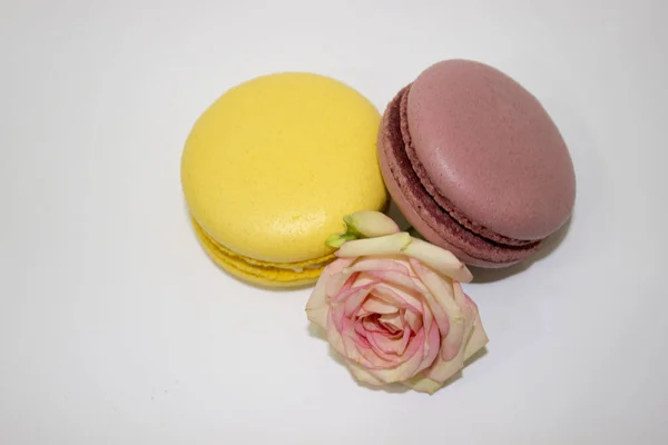 Twee Macaroon Cakes Met Een Roos — Stockfoto