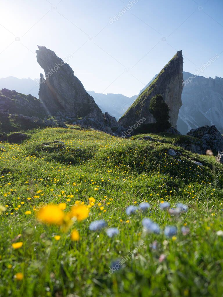 Wandern bei der Seceda in Suedtirol Italien - Seceda in the Dolomites in Italy
