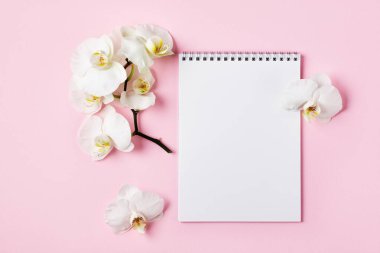 Boş defter ve beyaz orkide çiçeğinin (phalaenopsis) üst görünümü, pembe arkaplan. Boşluğu kopyala.