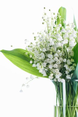 Vadi zambakları. Beyaz arka planda bir buket çiçek..