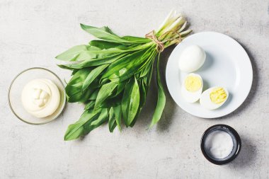 Bir demet taze Ramson (yabani sarımsak), mayonez sosu, yumurta. Salata ya da aperatif malzemeleri..