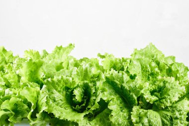 Beyaz arkaplanda yeşil marul yaprakları, yakın plan..