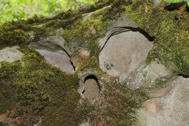 Taşta sergilenen bir uzaylının yüzü..