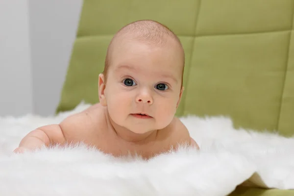 Bir beyaz kürkü yalan bebek — Stok fotoğraf
