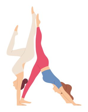 Spor giyim deneyimli kadınlar yogayı köpek pozisyonunda ve amuda kalkarak yapıyor. Kızlar adho mukha svanasana ve vrksasana pilates egzersizleri yaparlar. Kadın karakterler çift egzersizi. Vektör illüstrasyonu.